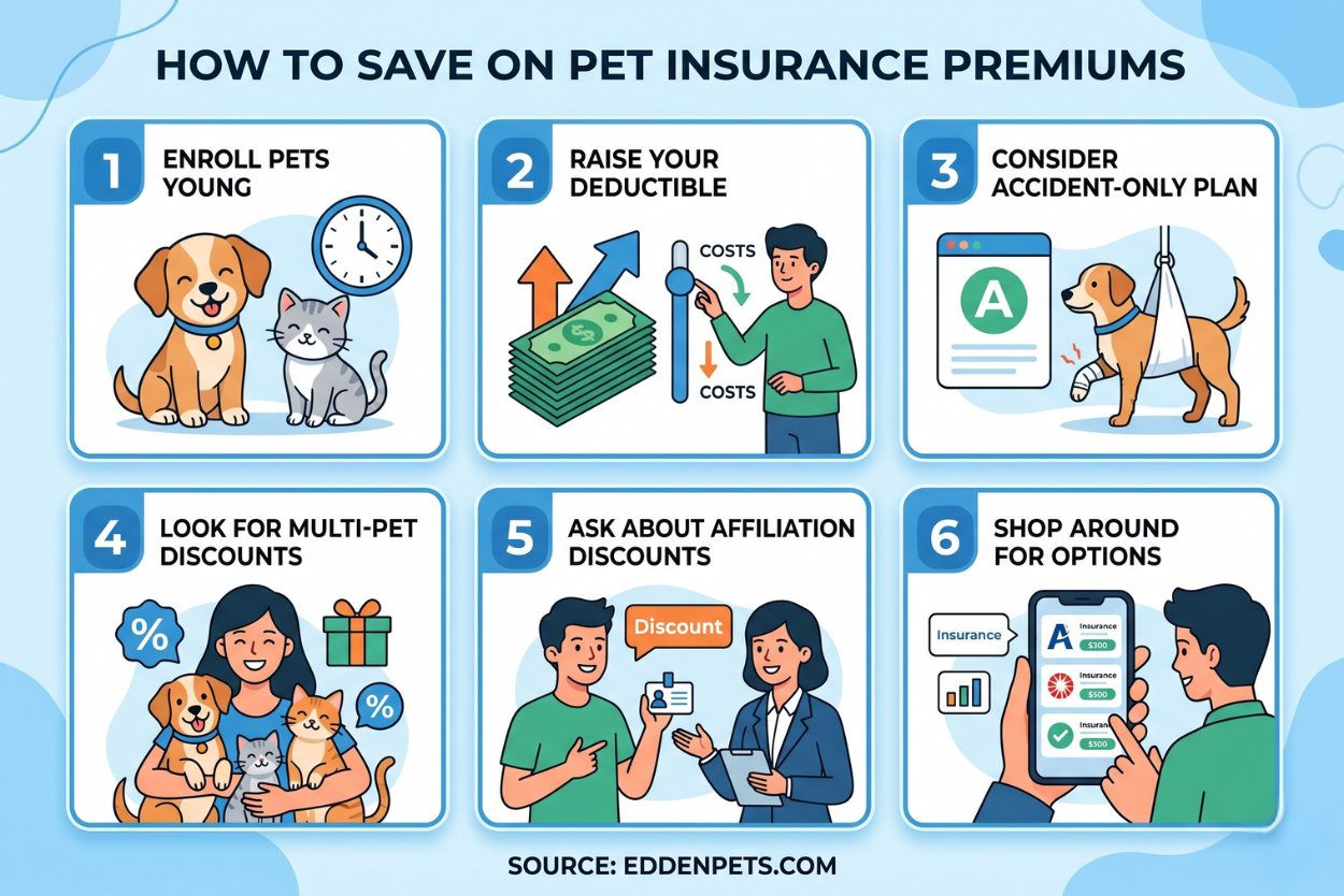 ways to save on pet insurance premiums